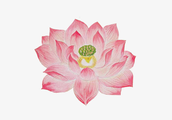 中国元素莲花免抠