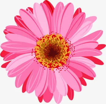 粉色手绘水彩花朵设计母亲节免抠