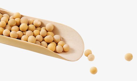 农家自产黄豆免抠