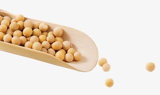 农家自产黄豆免抠