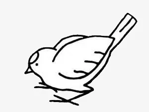 小鸟手绘免抠