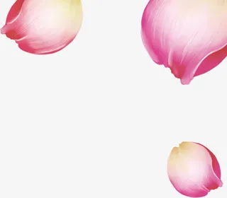 粉色手绘玫瑰花瓣中秋免抠