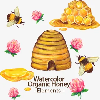 矢量手绘蜜蜂免抠