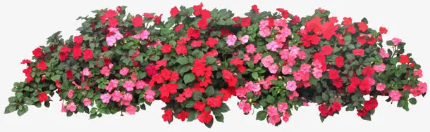 红色草地渐变艺术免抠