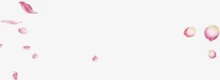 漂浮的玫瑰花瓣雨免抠