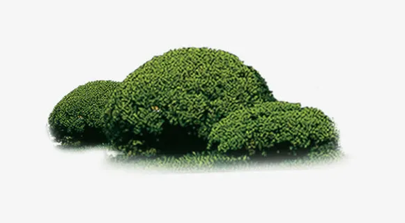 地产素材免抠 地产素材免抠