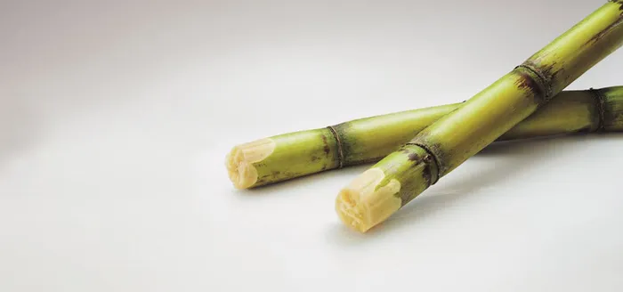 甘蔗背景图高清