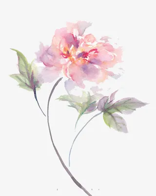 水彩花素材免抠