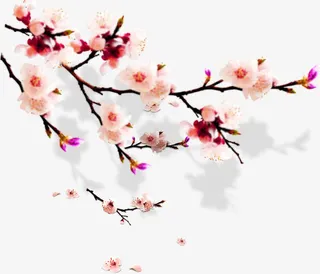 梅花毛笔艺术手绘免抠