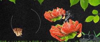 美味帝王蟹大气绿叶黑色banner高清