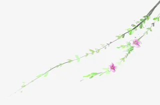 手绘桃花清明图片免抠