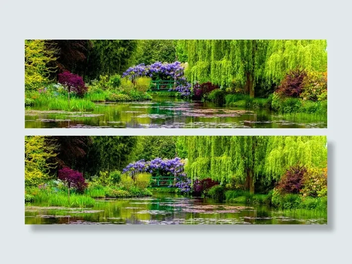 花园摄影banner壁纸