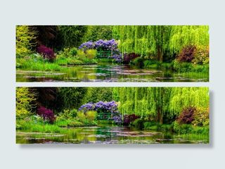 花园摄影banner壁纸