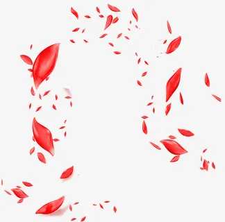 红柚水果背景免抠漂浮叶子元素