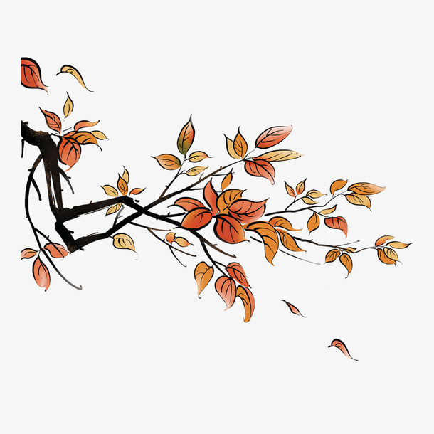 树枝免抠