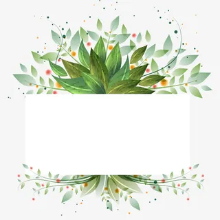 叶子花边矢量图免抠