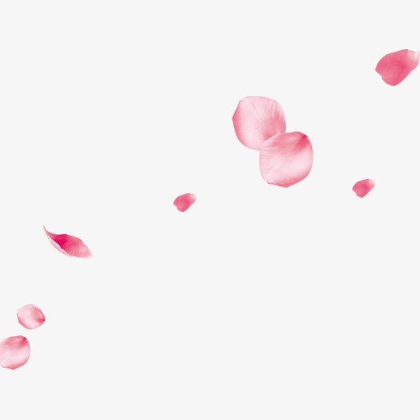 花瓣免抠