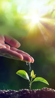 植树节公益活动H5背景高清 植树节公益活动H5背景高清