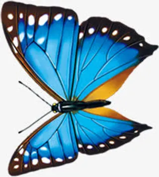 春天蓝色蝴蝶装饰免抠