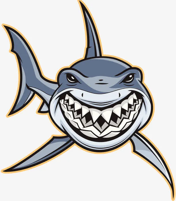 大白鲨插画图片免抠