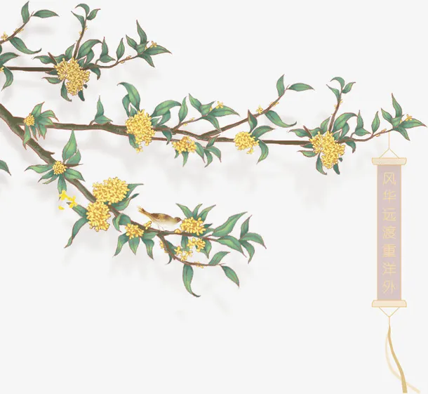 金桂 桂花 立秋 png免抠