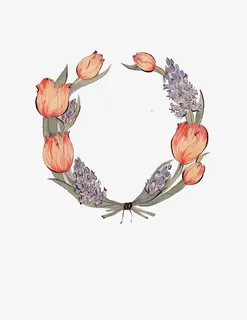 花朵边框免抠 花朵边框免抠