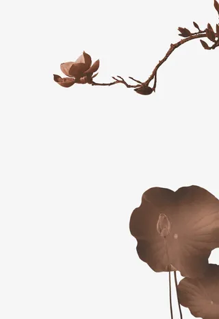 中国风水墨荷叶免抠