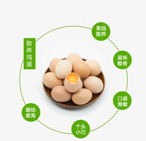 土鸡蛋特点标语素材免抠