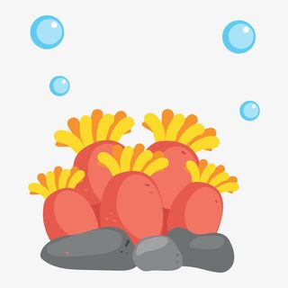 手绘海洋生物开花海葵素材免抠