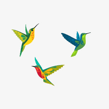 彩色蜂鸟素材免抠免抠