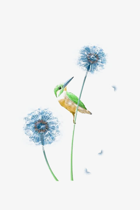 蒲公英和翠鸟免抠
