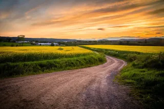 金色田野间的弯曲小路海报背景