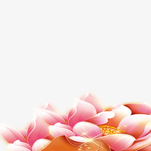 牡丹花免抠