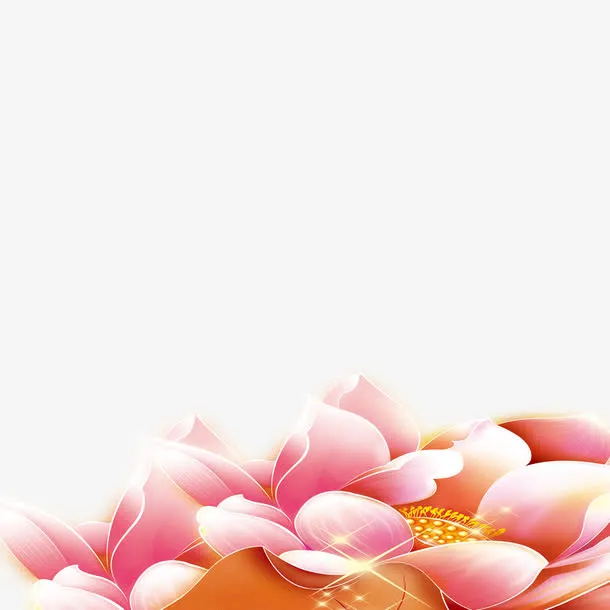 牡丹花免抠
