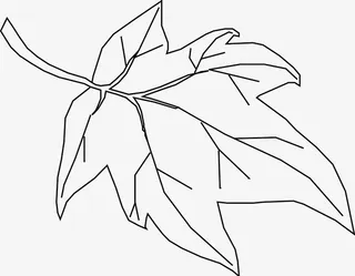 绘制简笔叶片免抠