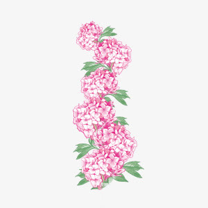 粉色的花束免抠