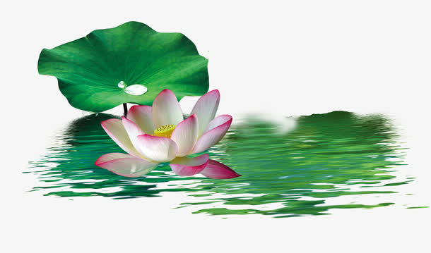 中国风绿色荷花免抠
