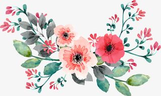 红色手绘水彩蔷薇花藤免抠