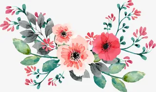 红色手绘水彩蔷薇花藤免抠