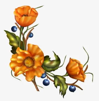 黄色花朵绿叶手绘边框装饰免抠