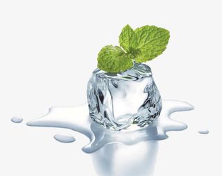 冰块上的绿色薄荷叶免抠