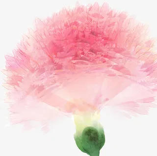 粉色康乃馨广告设计免抠