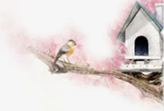 樱花树上的燕窝免抠