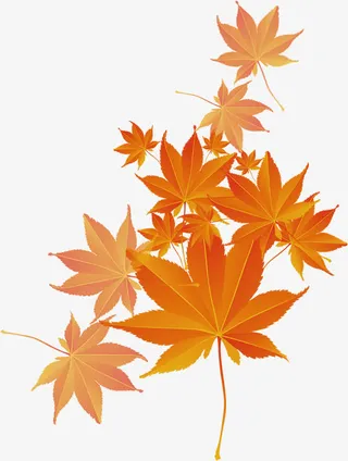 浓情金秋枫叶落叶装饰元素免抠