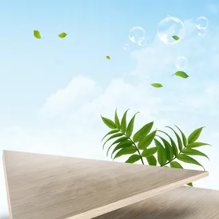 小清新木板树枝主图背景素材高清