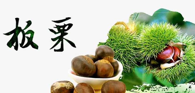 新鲜板栗素材免抠
