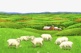 手绘乡村农田插画免抠