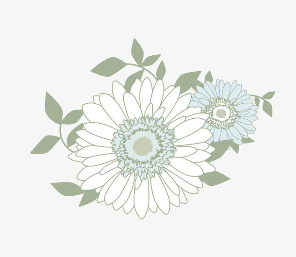 白色的花免抠