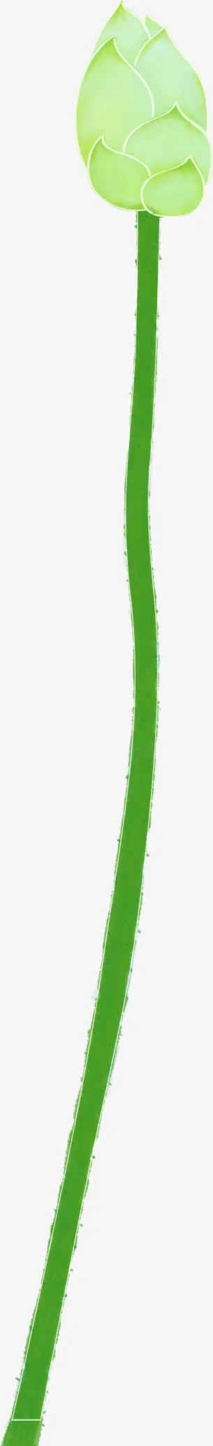 手绘绿色荷叶分层免抠