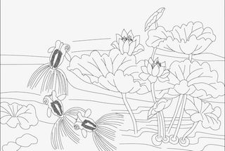 金鱼荷花儿免抠